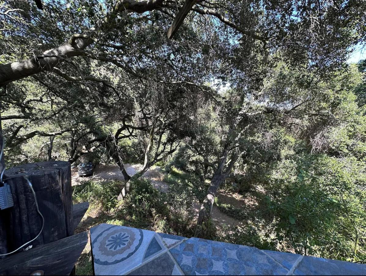 Japanese Tea House With Private Mountain Trails And Creek Villa Topanga Park Exterior photo